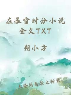 在暴雪时分小说全文TXT