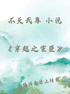 不灭武尊 小说