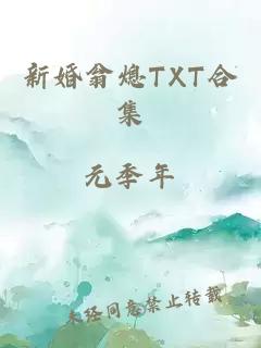 新婚翁熄TXT合集