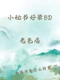 小秘书好紧BD