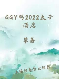 GGY钙2022太子酒店