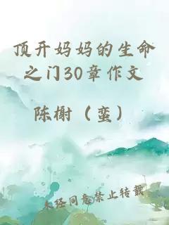 顶开妈妈的生命之门30章作文