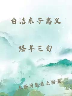 白洁东子高义