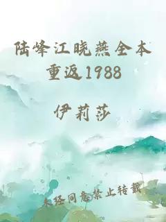 陆峰江晓燕全本重返1988