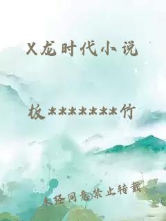 X龙时代小说