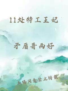 11处特工王妃