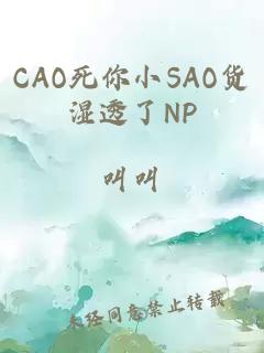 CAO死你小SAO货湿透了NP