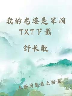 我的老婆是军阀TXT下载