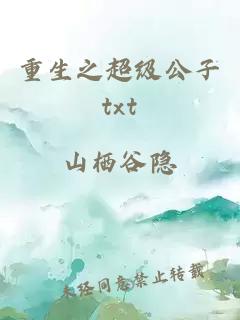 重生之超级公子txt