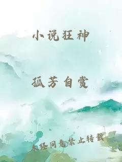 小说狂神