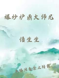 爆炒炉鼎大师兄