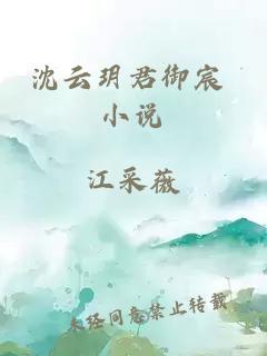 沈云玥君御宸 小说