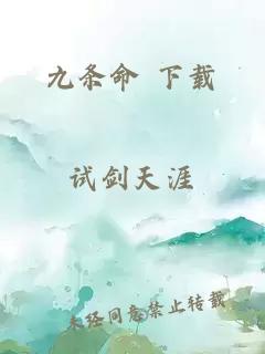 九条命 下载