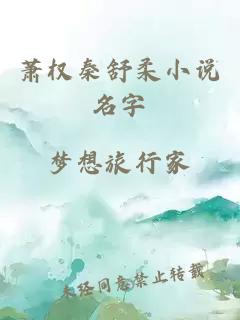 萧权秦舒柔小说名字