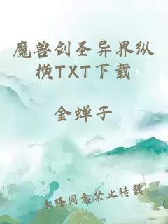 魔兽剑圣异界纵横TXT下载