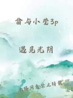 翁与小莹3p