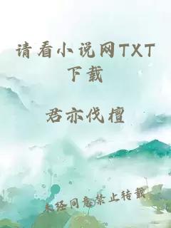 请看小说网TXT下载