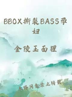 BBOX撕裂BASS孕妇