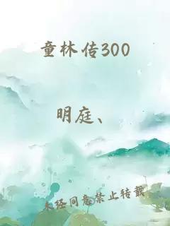 童林传300