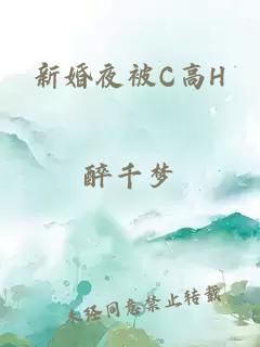 新婚夜被C高H