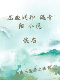 龙血战神 风青阳 小说