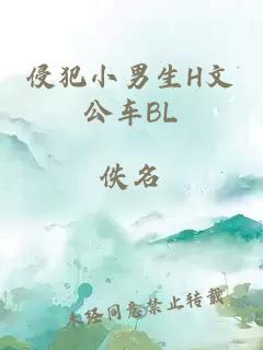 侵犯小男生H文公车BL