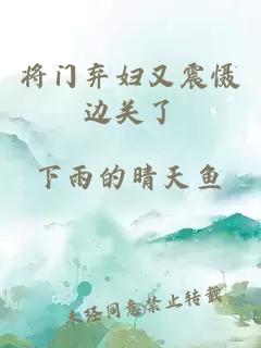 将门弃妇又震慑边关了