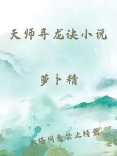 天师寻龙诀小说