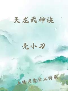 天龙武神诀