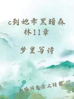 c到她乖黑暗森林11章