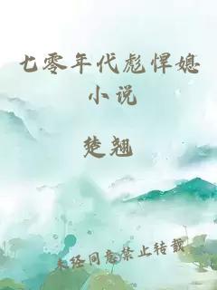 七零年代彪悍媳 小说