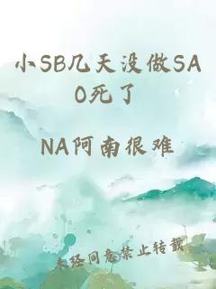 小SB几天没做SAO死了