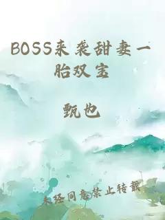 BOSS来袭甜妻一胎双宝