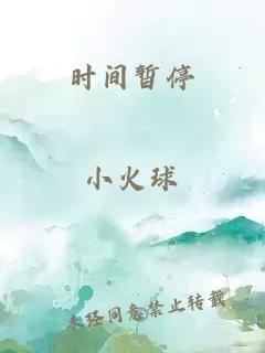 时间暂停