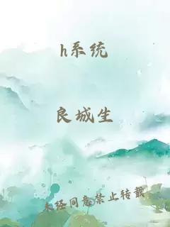 h系统