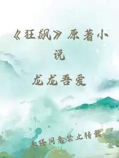 《狂飙》原著小说