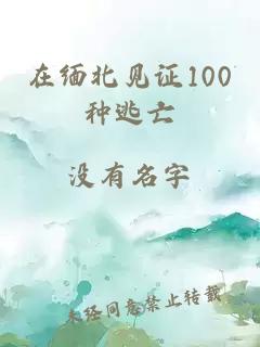 在缅北见证100种逃亡