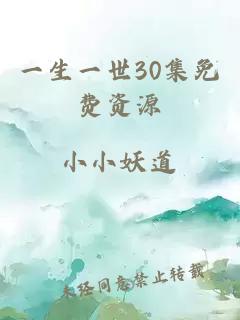 一生一世30集免费资源