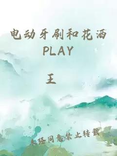 电动牙刷和花洒PLAY