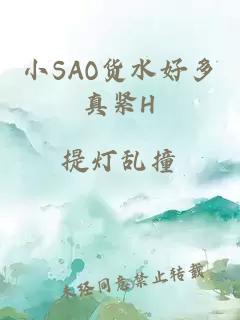 小SAO货水好多真紧H