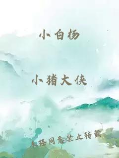 小白杨