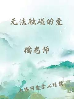 无法触碰的爱