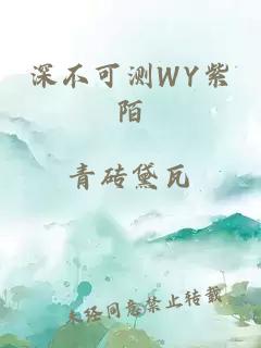 深不可测WY紫陌