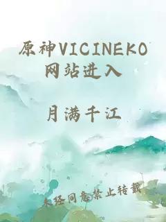 原神VICINEKO网站进入