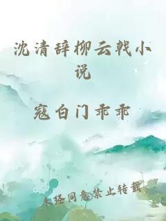 沈清辞柳云戟小说