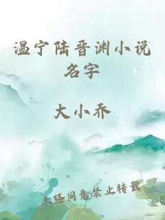 温宁陆晋渊小说名字