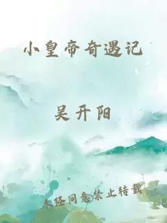 小皇帝奇遇记