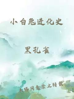 小白兔进化史