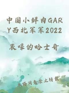 中国小鲜肉GARY西北军军2022