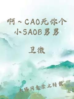 啊～CAO死你个小SAOB男男